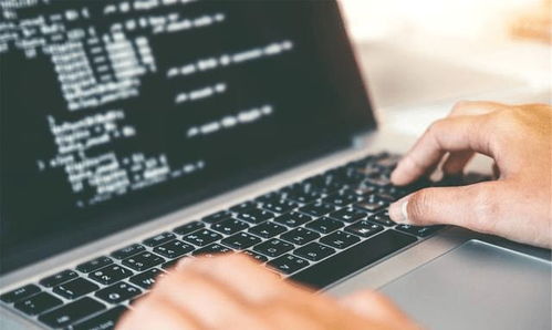 重點大學計算機專業學生，考研還是就業？